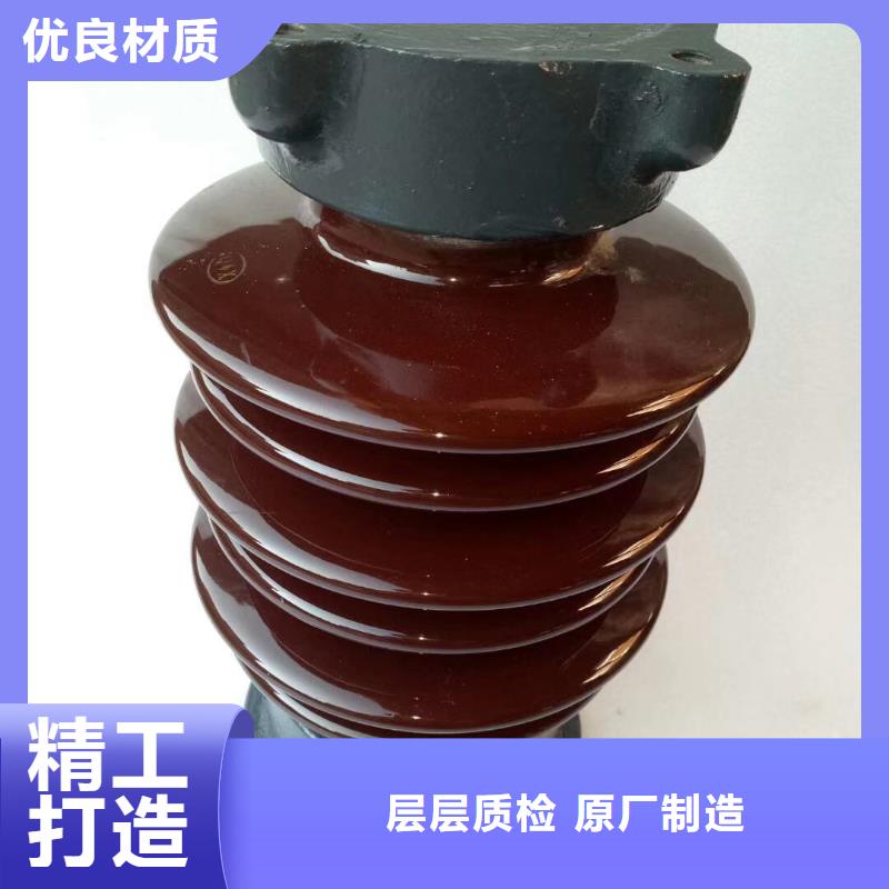 FXBW1-220/120绝缘子樊高