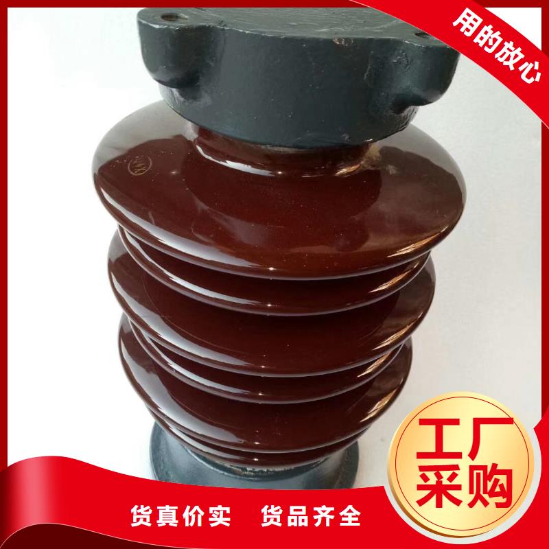 ZSW-12/4硅胶绝缘子樊高