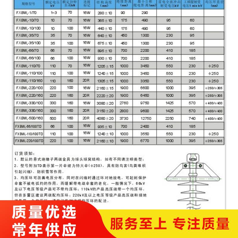 ZJ-10Q65*140高压环氧树脂绝缘子