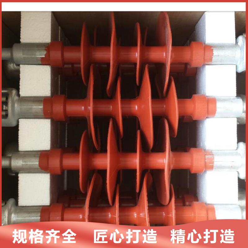 ZJ-10KV/65*140环氧树脂绝缘子