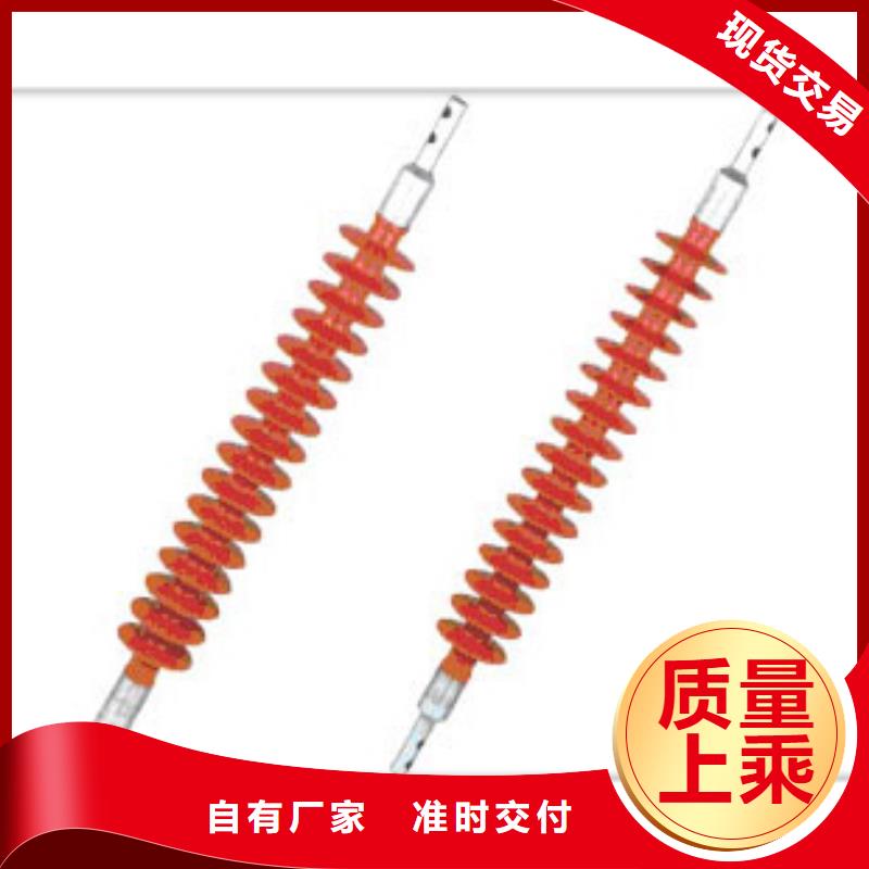 ZJ-10Q65*140高压环氧树脂绝缘子