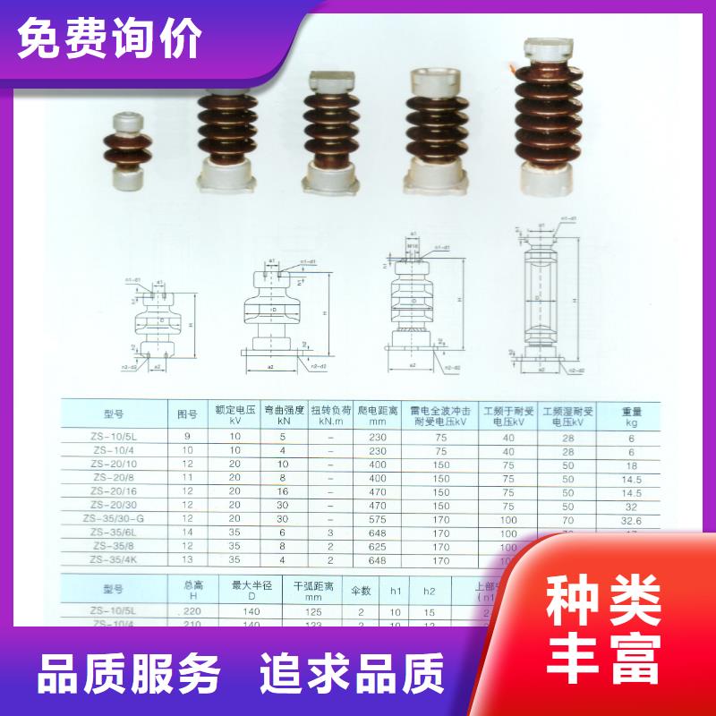 ZJ-10Q65*140高压环氧树脂绝缘子