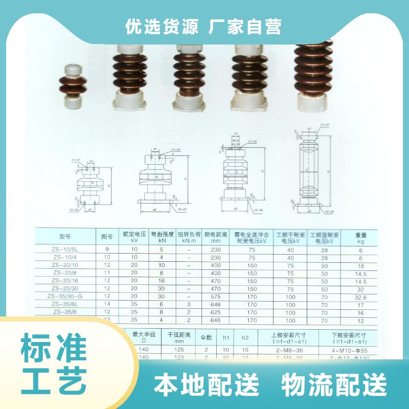 FZSW3-40.5/6高压复合绝缘子