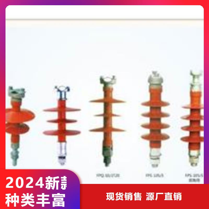 FXBW1-66/70硅胶绝缘子