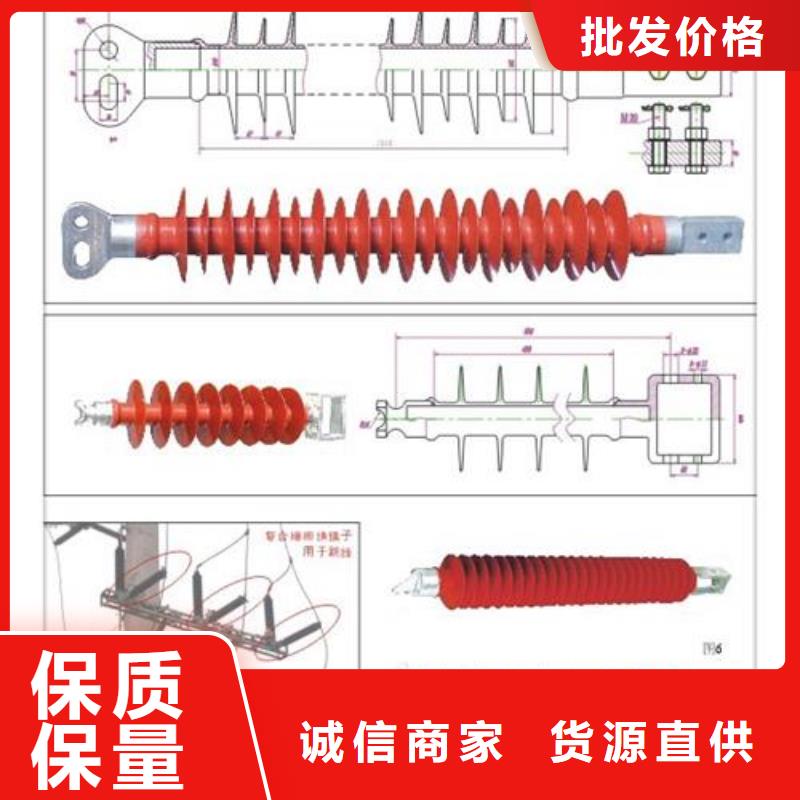 ZSW-252/8陶瓷支柱绝缘子