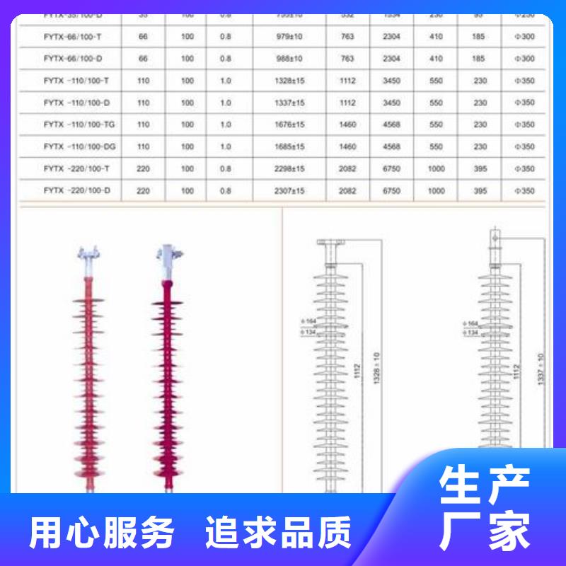 ZS-110/6陶瓷绝缘子