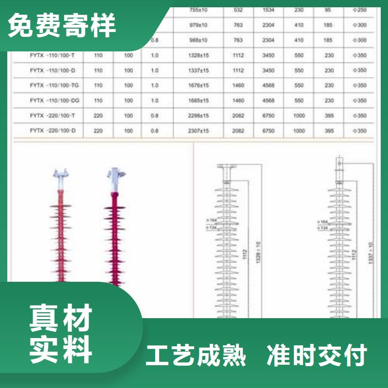 FXBW1-220/120绝缘子樊高