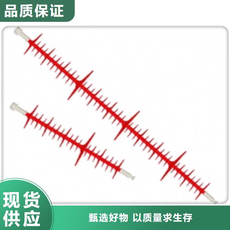 FXBW3-66/100复合绝缘子