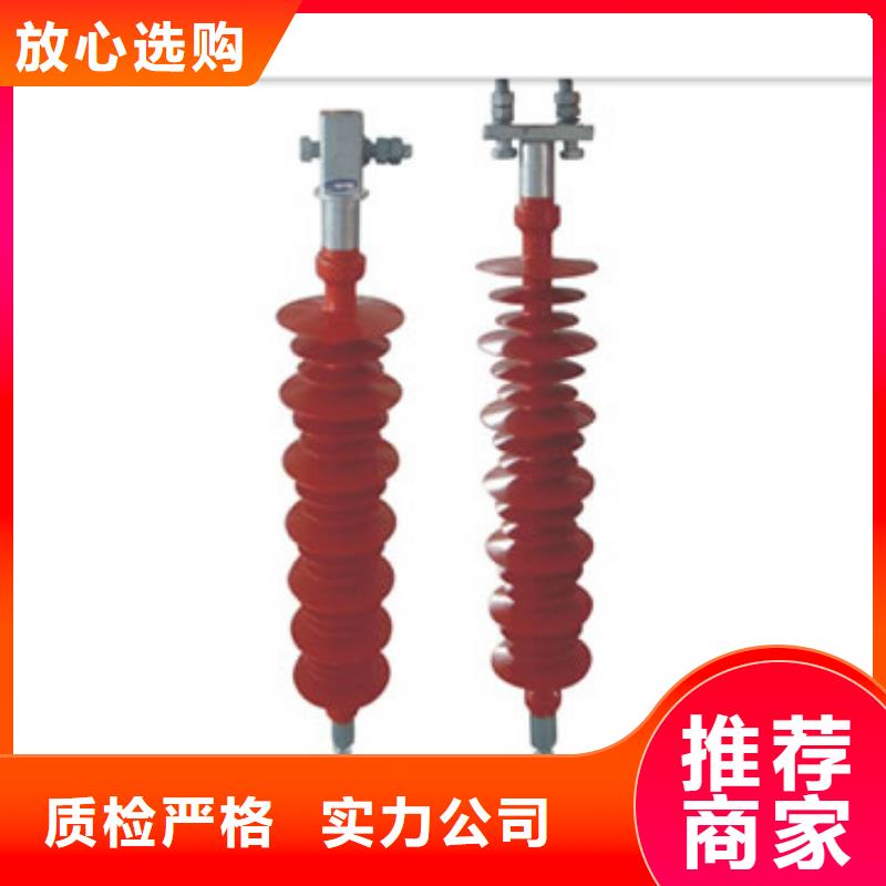 FXBW3-66/100复合绝缘子