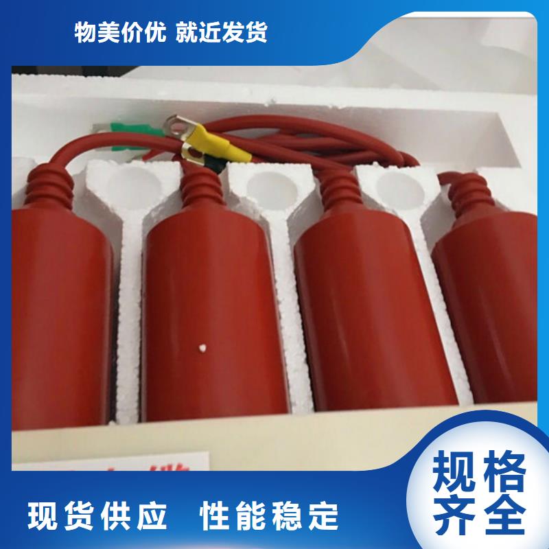 TBP-C-7.6/131F组合式保护器