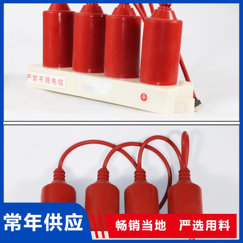 TBP-B-12.7F/131三相组合式过电压保护器