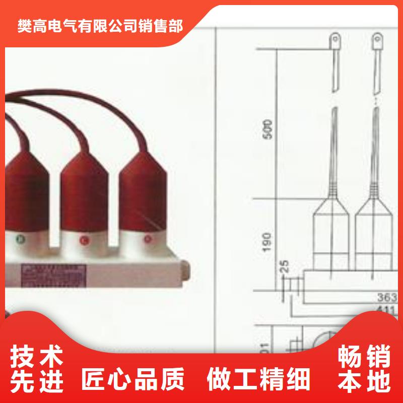 TBP-A-42F/310过电压保护器樊高电气