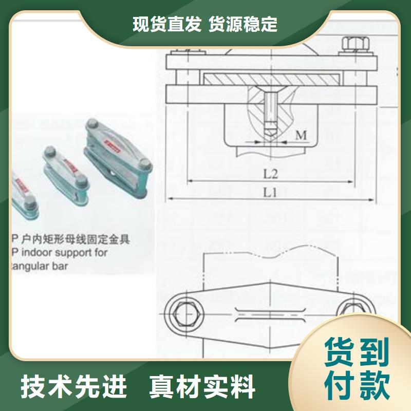 MRJ-10N/400母线夹具樊高