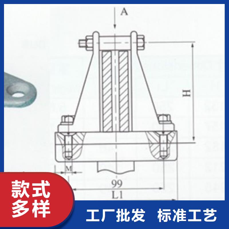 TMY-125*8高压母线樊高