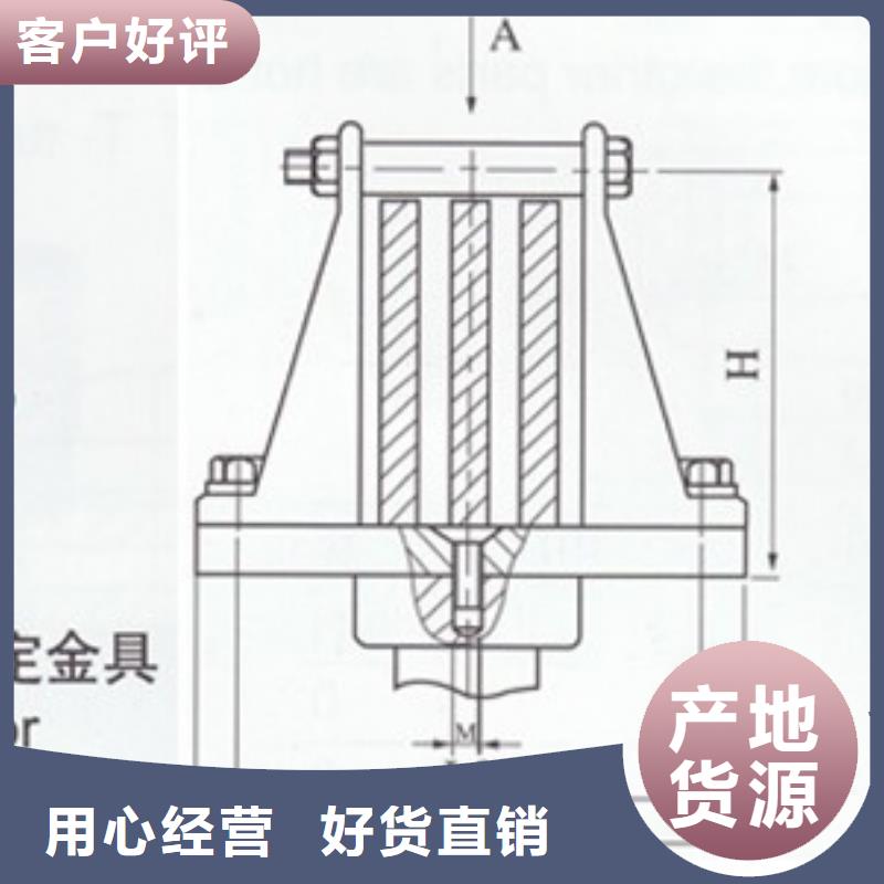 LMY-50*6铝排樊高电气