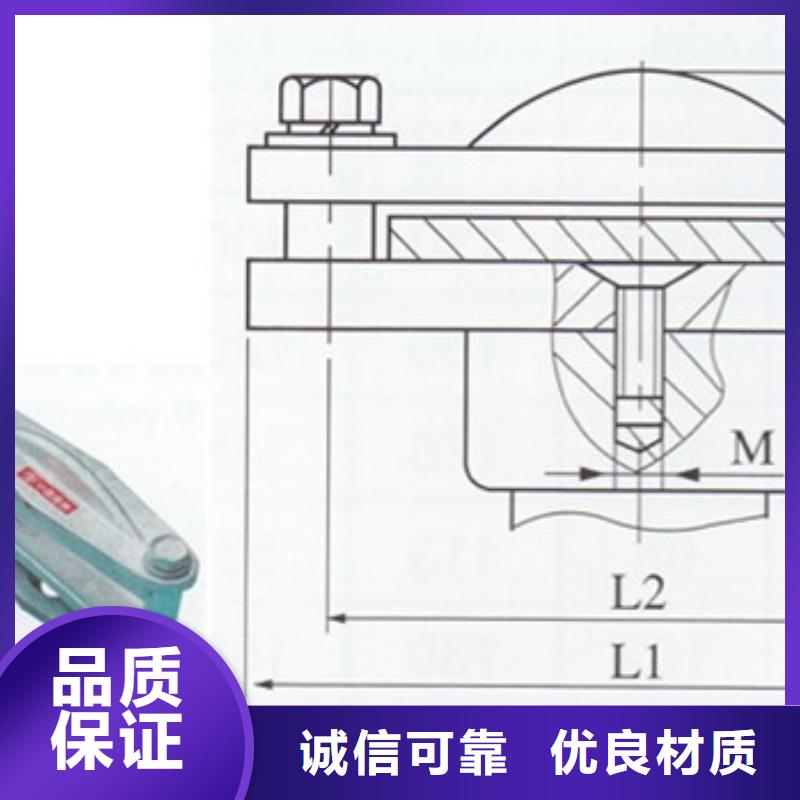 LMY-50*6铝排樊高电气
