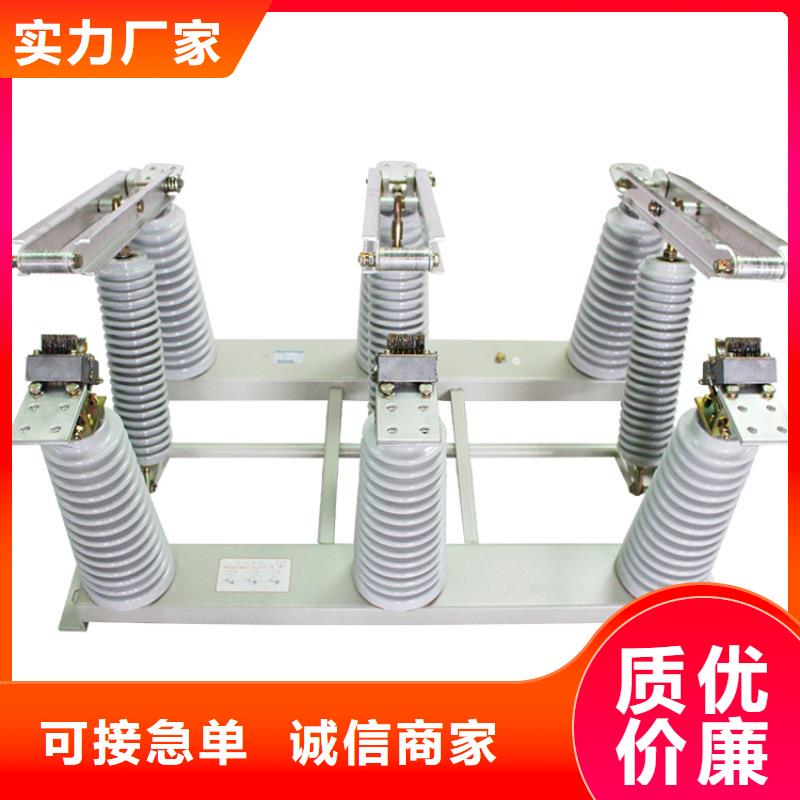 HGW4-40.5/1250隔离开关