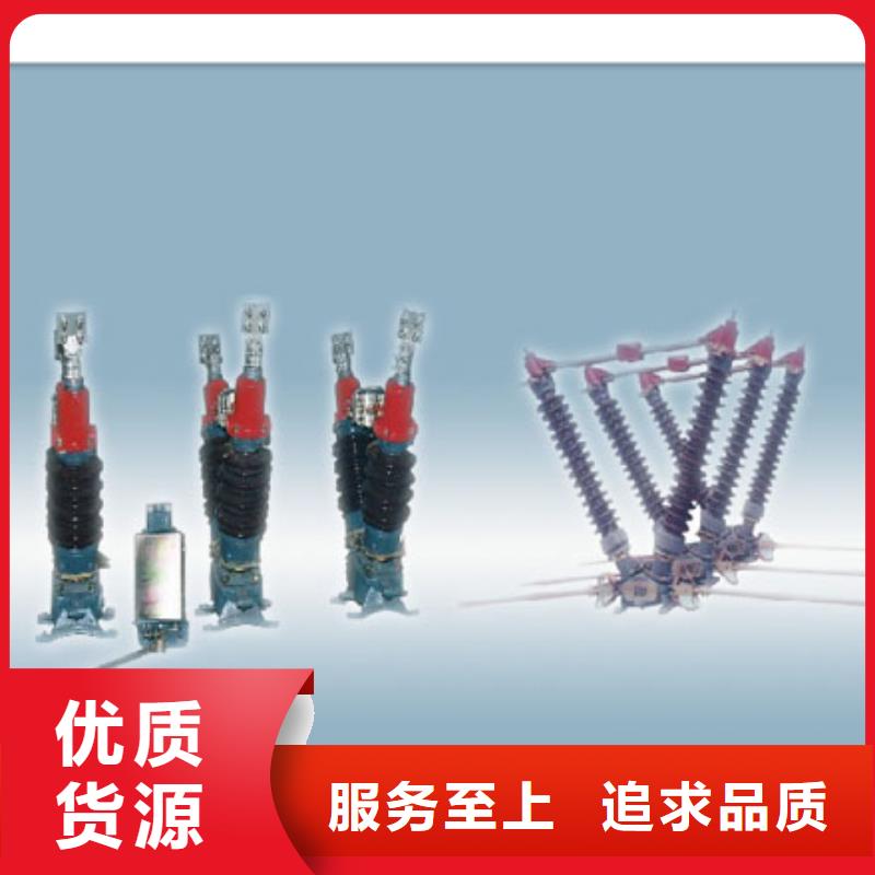 GN19-10CST/630A户内隔离开关
