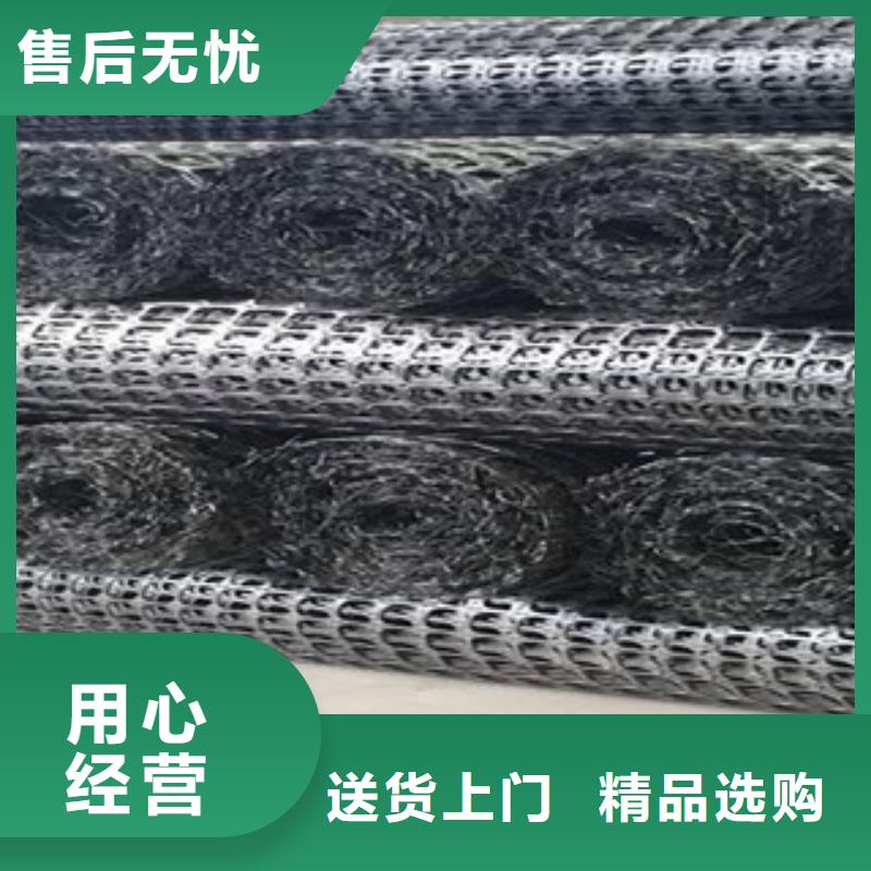 双向塑料格栅-三维植被网打造行业品质