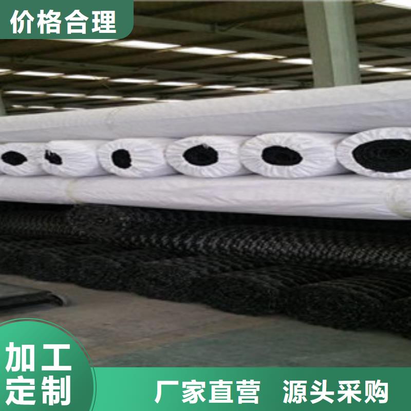 双向塑料格栅-三维植被网现货销售