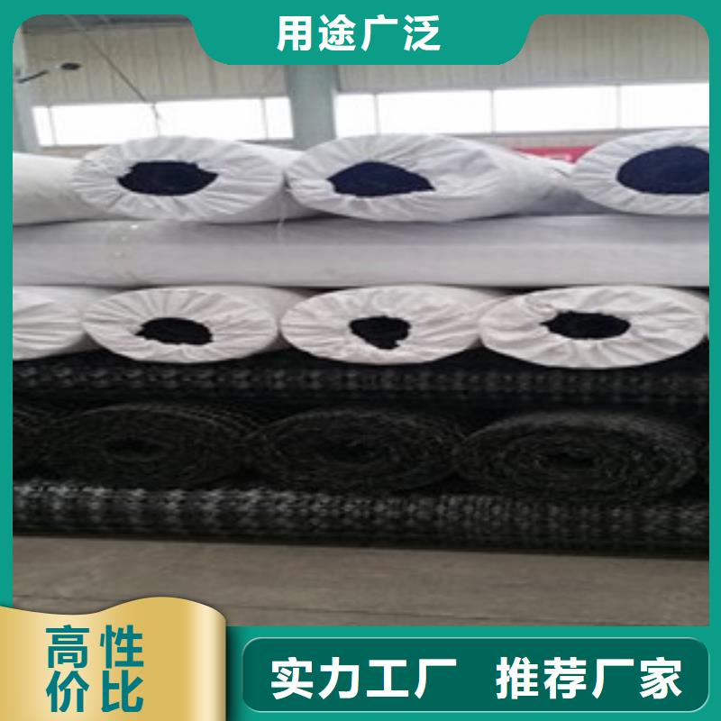 【双向塑料格栅】玻纤土工格栅严选材质