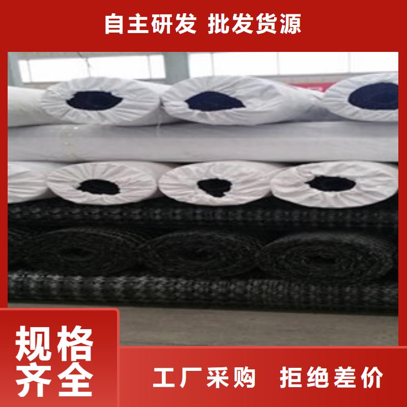双向塑料格栅三维植被网厂家货源稳定