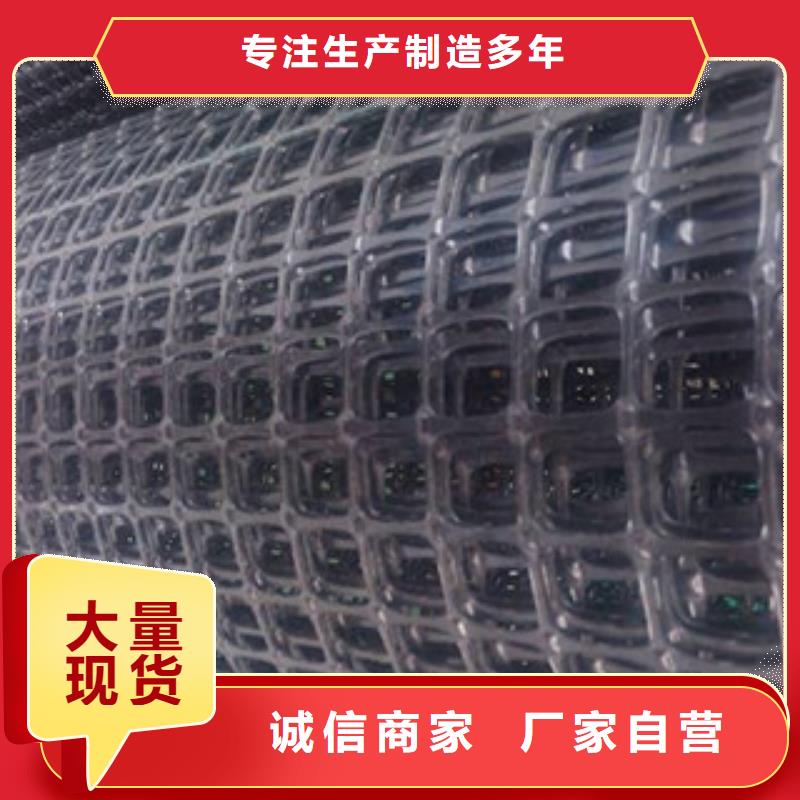 双向塑料格栅复合土工布源头厂家量大价优