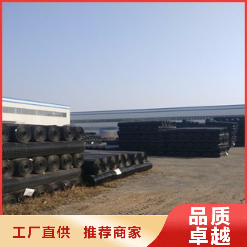 双向塑料格栅膨润土防水毯放心得选择