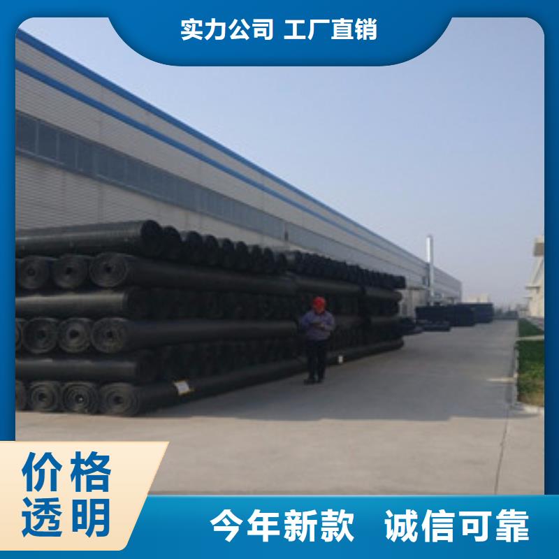 双向塑料格栅塑料土工格栅现货销售
