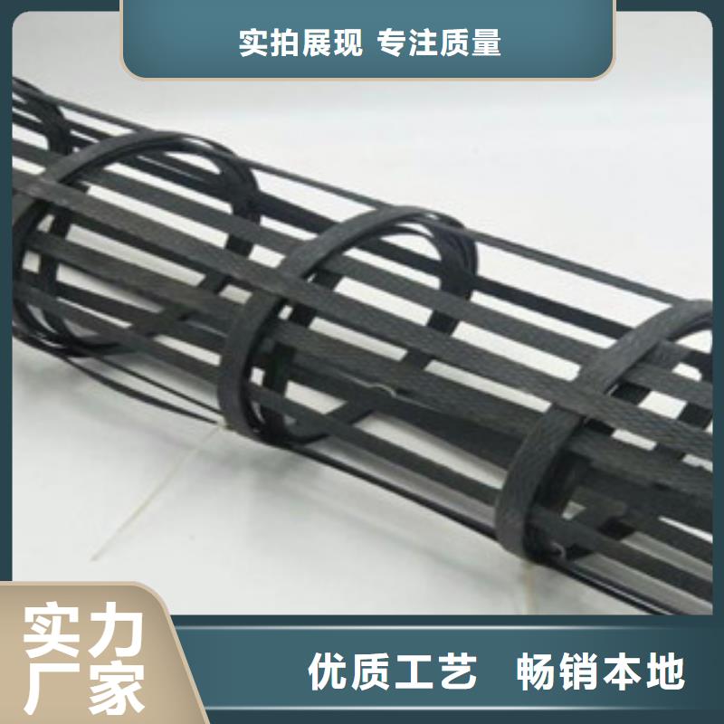 钢塑土工格栅三维植被网使用寿命长久