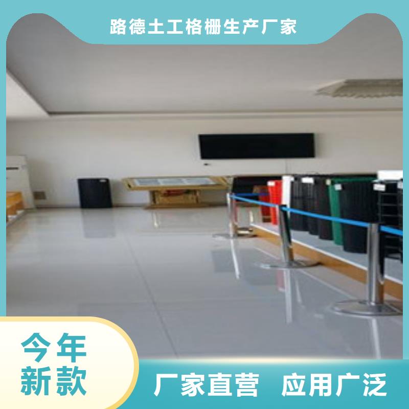 钢塑土工格栅-玻纤土工格栅厂家现货供应