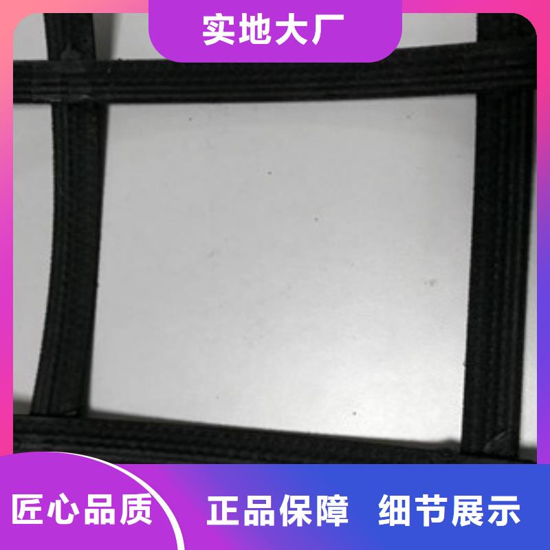 钢塑土工格栅高强度土工网低价货源