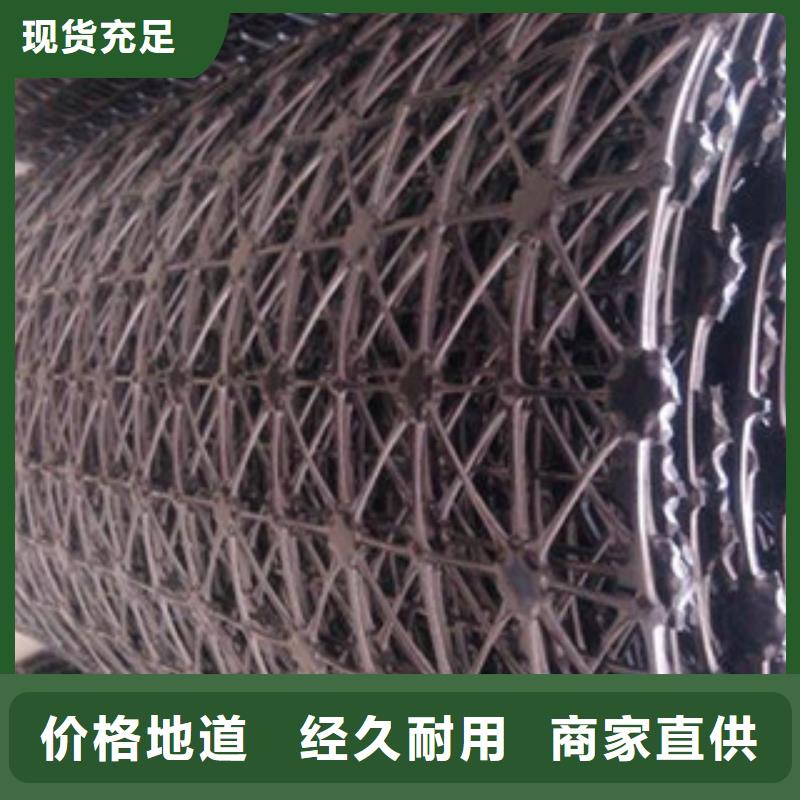 钢塑土工格栅,三维植被网一站式采购