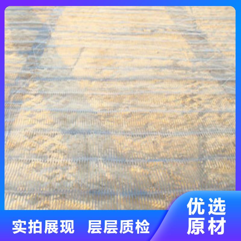 单向塑料格栅玻纤土工格栅多种优势放心选择