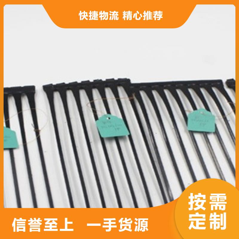 单向塑料格栅复合土工布大厂生产品质
