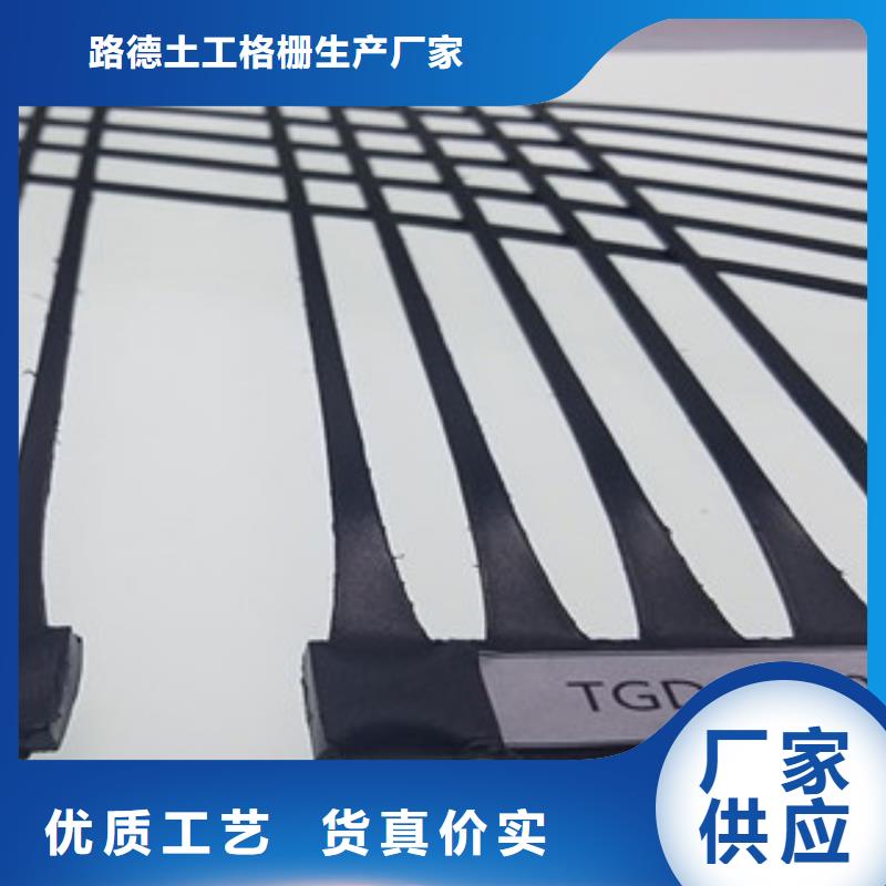 单向塑料格栅【三维植被网】专业生产N年