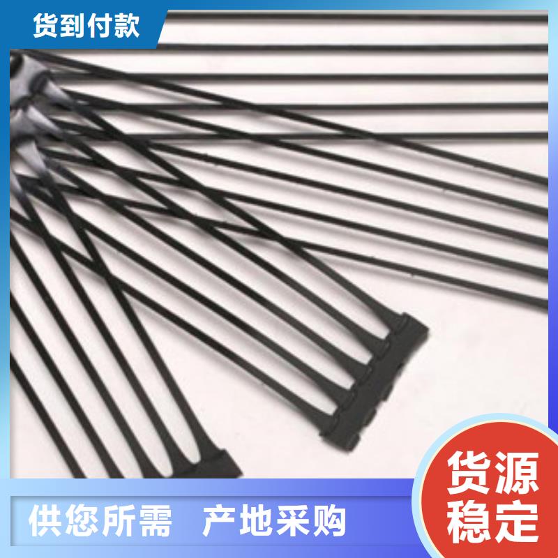 【单向塑料格栅】三维植被网可定制