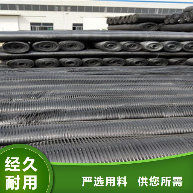 单向塑料格栅,塑料排水板源厂定制