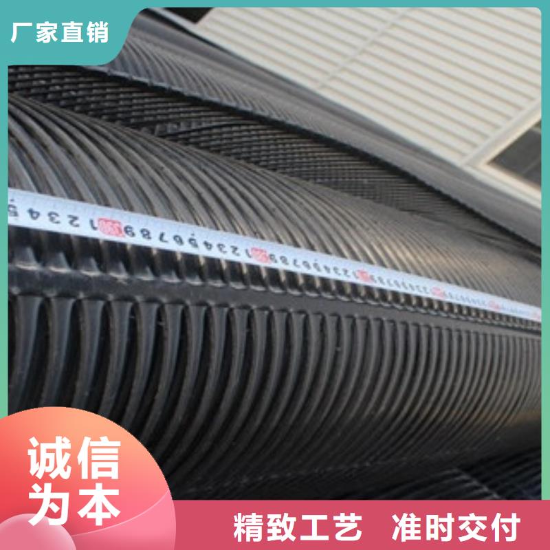 单向塑料格栅三维植被网品牌专营