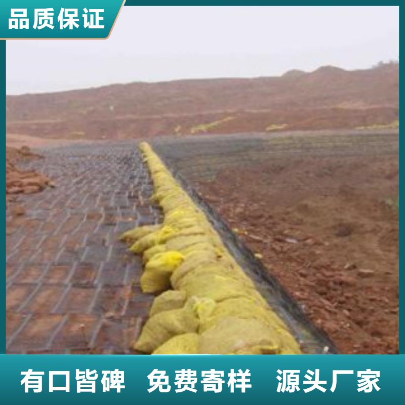 单向塑料格栅高强度土工网实力优品