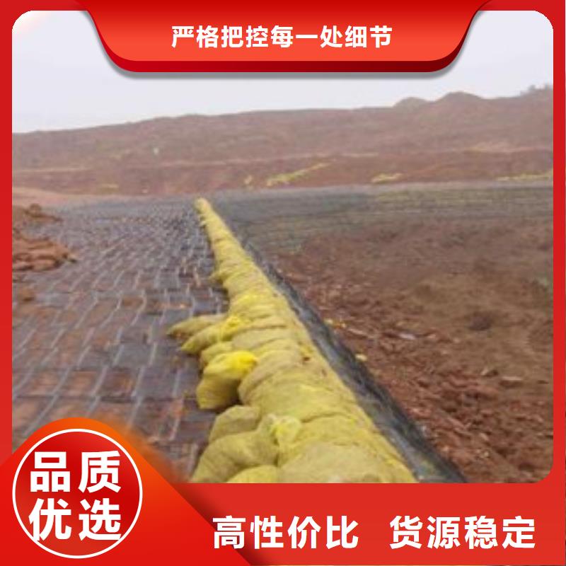 单向塑料格栅三维植被网客户满意度高