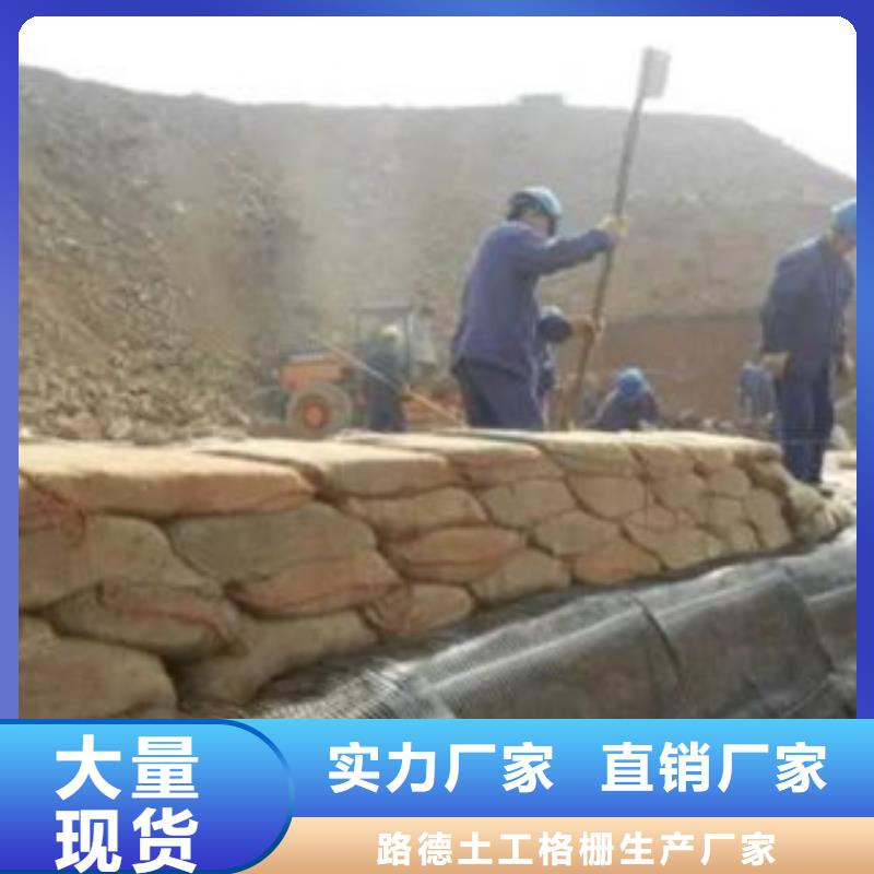 单向塑料格栅三维植被网品牌专营