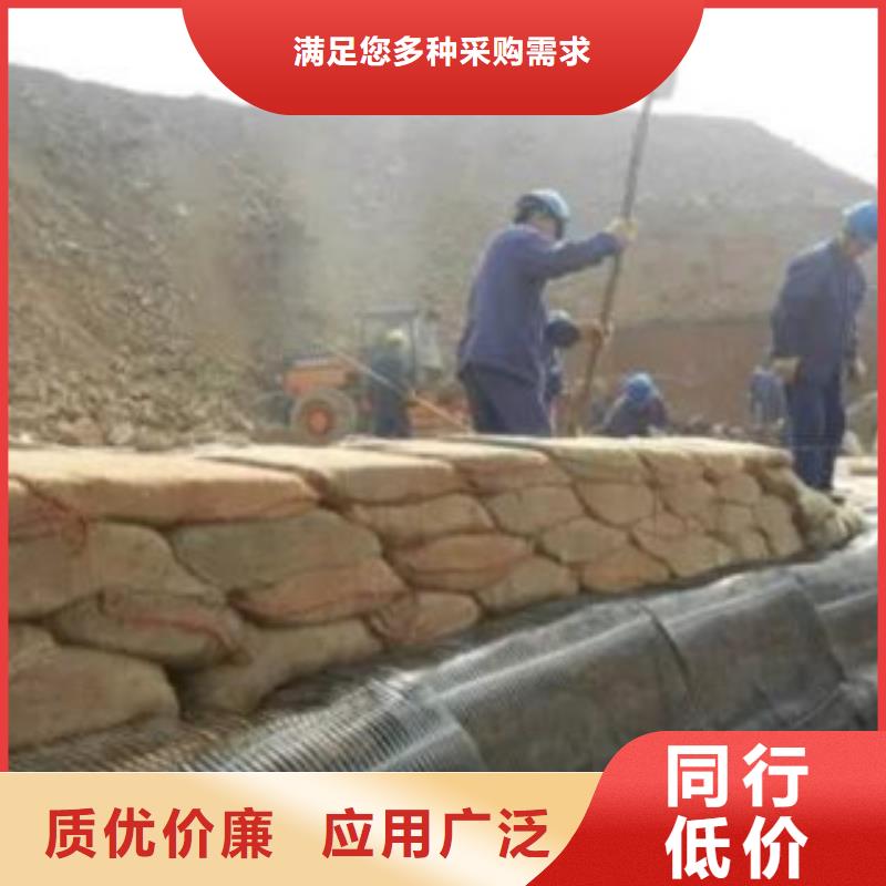 【单向塑料格栅膨润土防水毯来图定制量大从优】