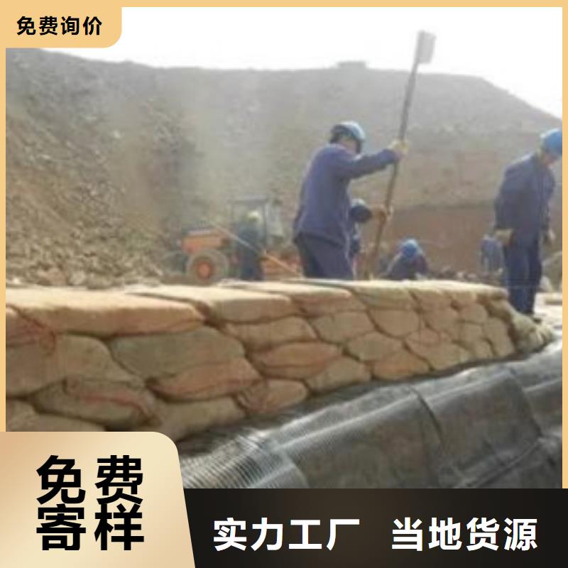 单向塑料格栅玻纤土工格栅按需设计