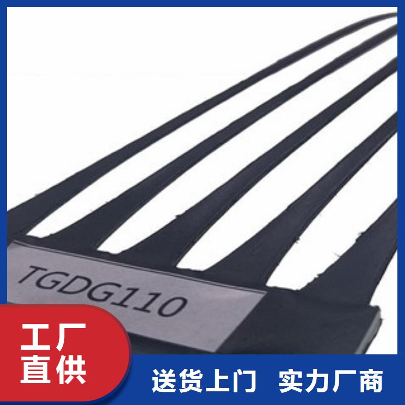 【单向塑料格栅】三维植被网可定制