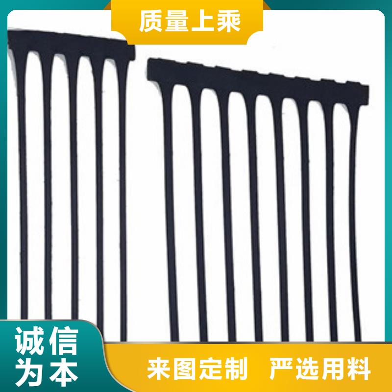 单向塑料格栅复合土工布大厂生产品质