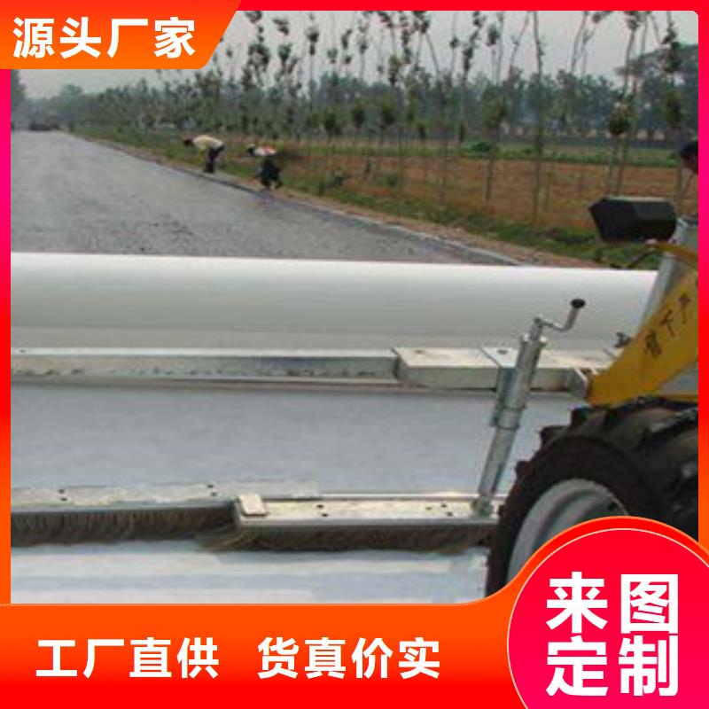 土工布塑料排水板定制速度快工期短