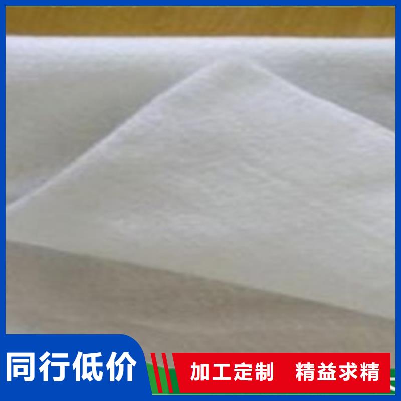 土工布钢塑土工格栅专业生产厂家