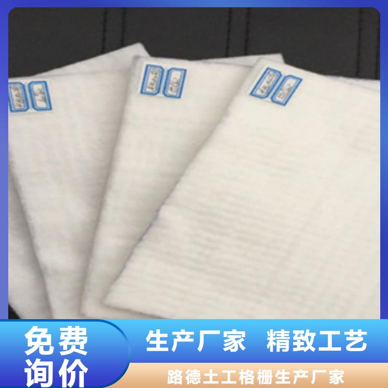 土工布钢塑土工格栅实力雄厚品质保障