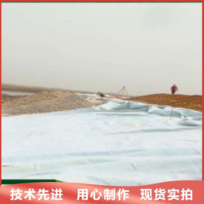 土工布膨润土防水毯多年经验值得信赖